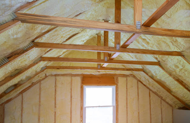Best Commercial Insulation in Sardis, MS