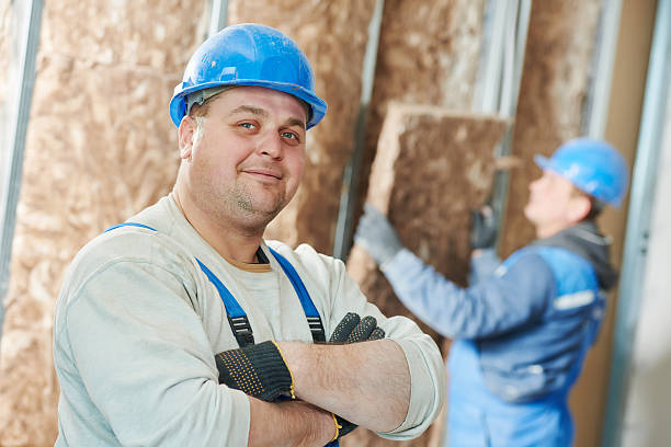Best Residential Insulation in Sardis, MS